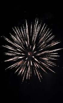 multicolored fireworks display