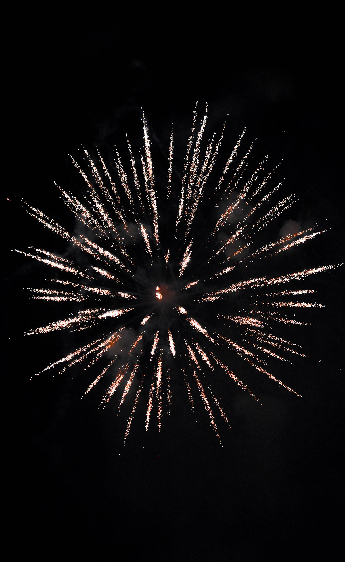 Feu d'artifice dans le ciel nocturne
