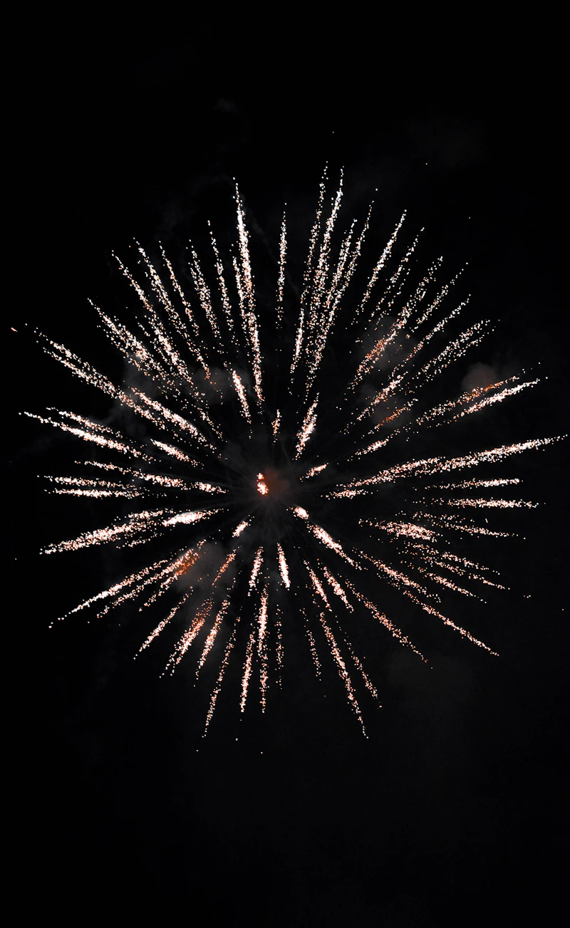 Fireworks bursting in the night sky at a safe distance