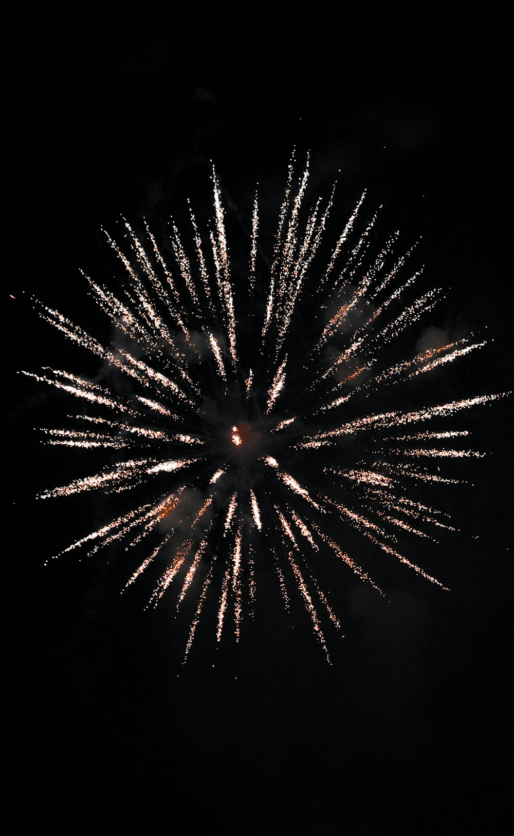 multicolored fireworks display