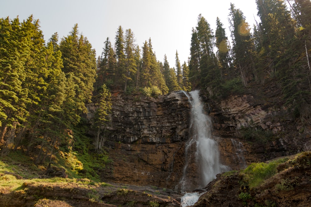 waterfalls beside trees at daytime