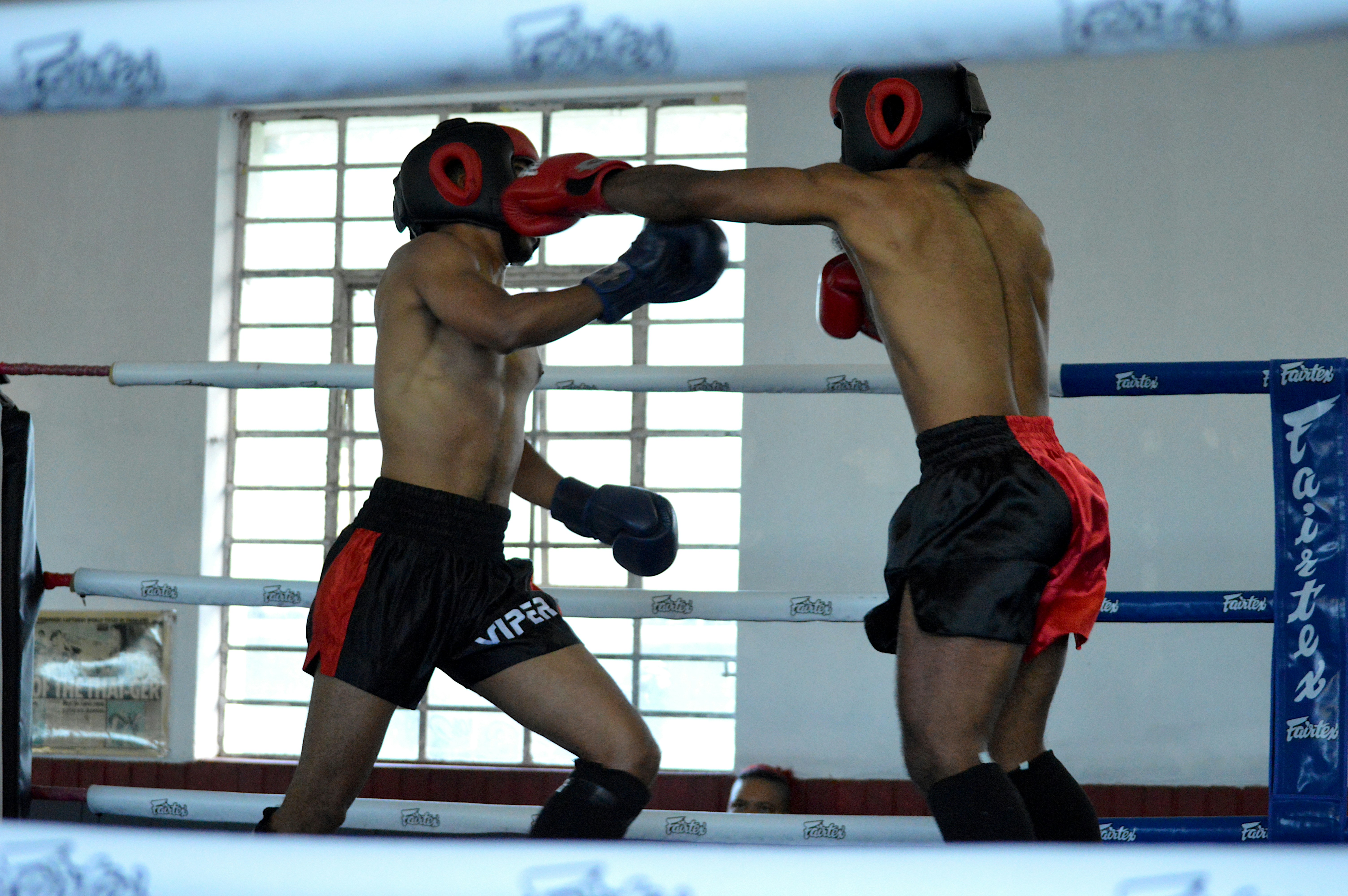 Ring de box del gimnasio
