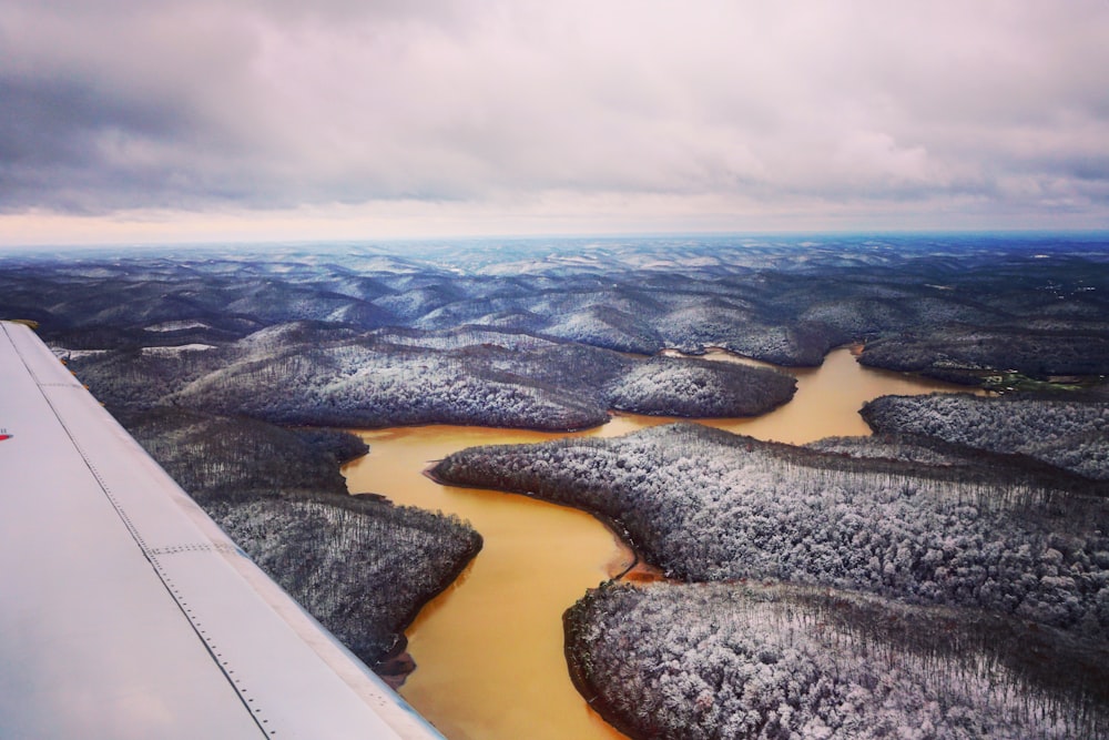 Vista del ala del avión del bosque y del río