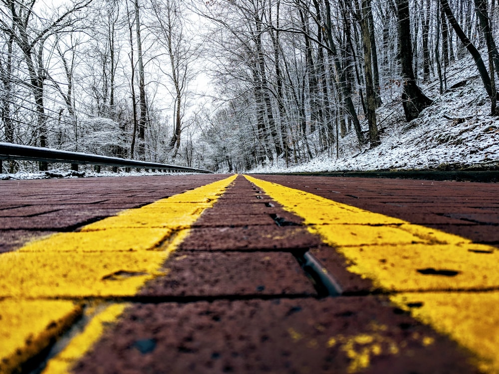 road between bare trees during daytime