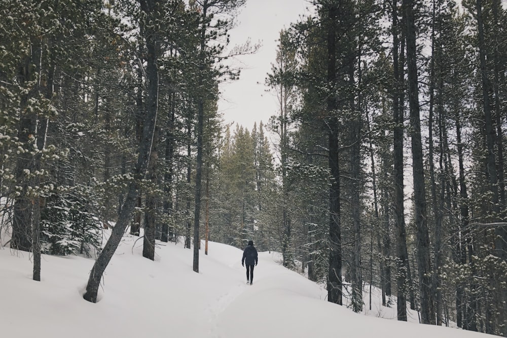 person in black jacket walking on snow