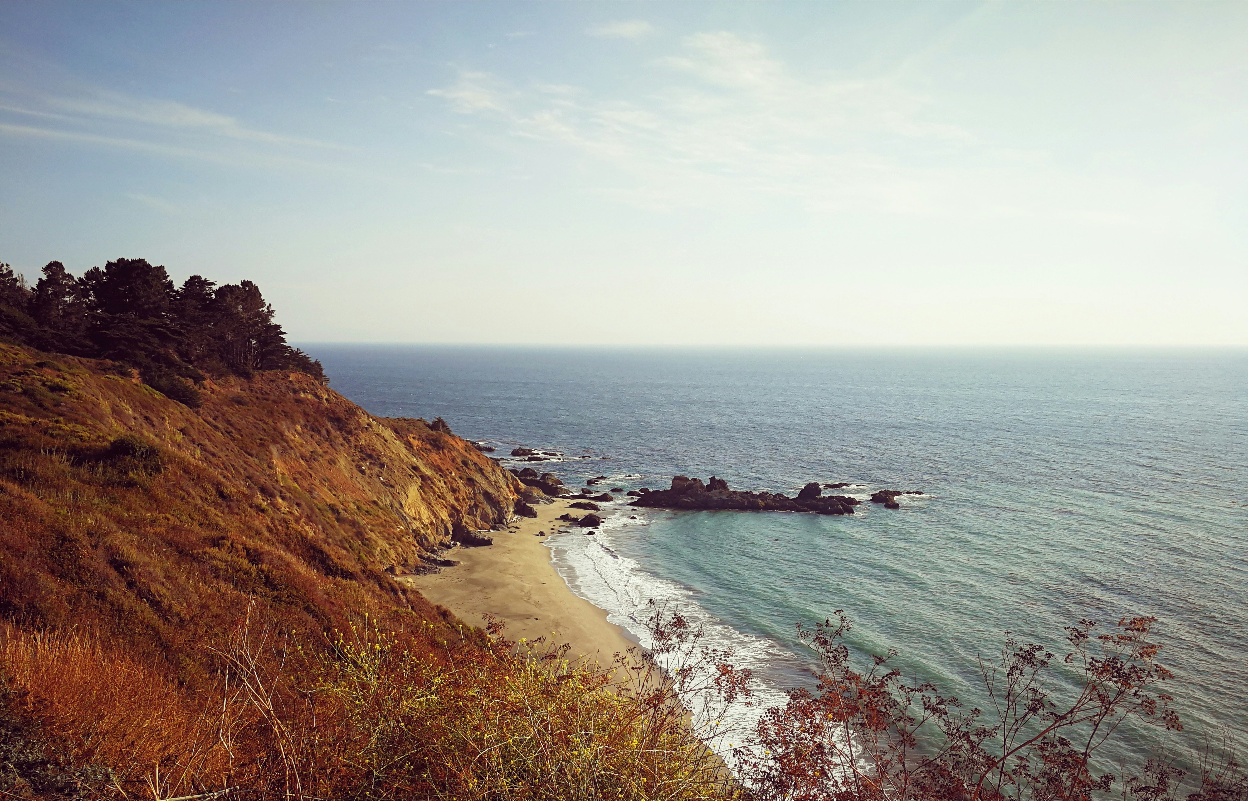 Photo by laurasamang