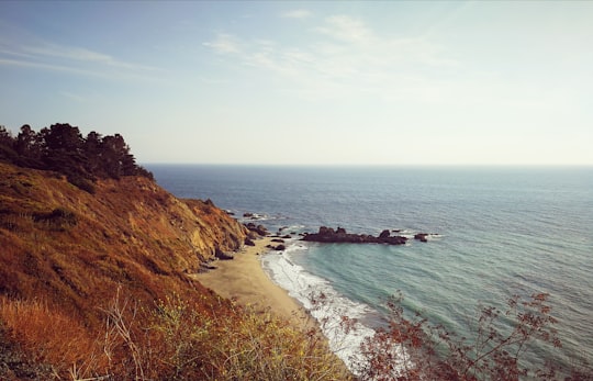 Big Creek Cove Vista Point things to do in Big Sur