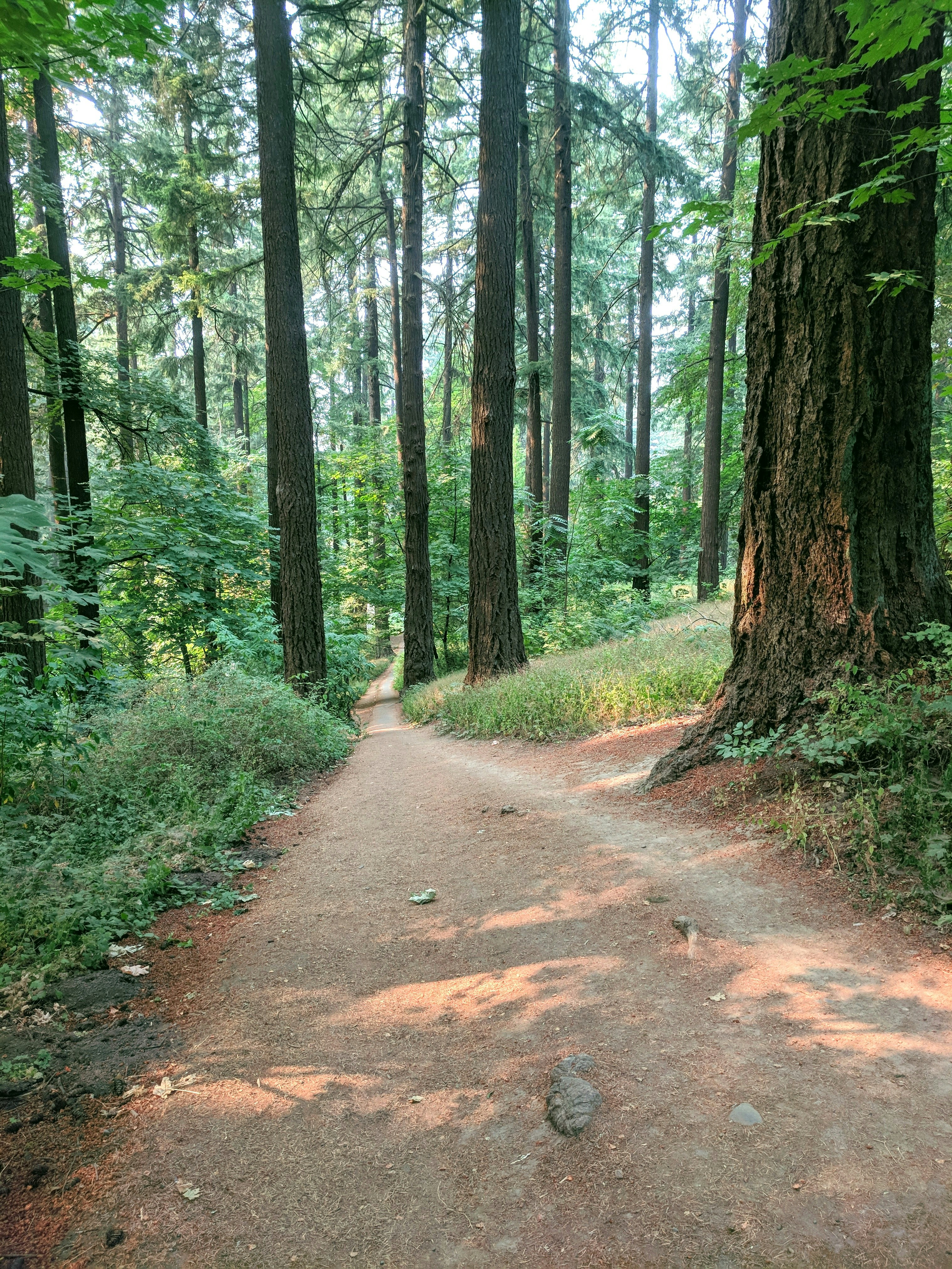 Book Your Session: 8 Session Package