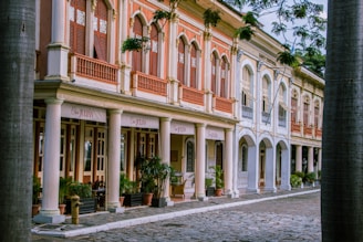 A row of historic colonial-style buildings with arched windows, decorative wooden shutters, and a pastel color palette. Tall columns support the front façade, framing a shaded walkway lined with potted plants. The cobblestone street adds to the vintage charm, lined with large trees that partly obscure the second level of the buildings.
