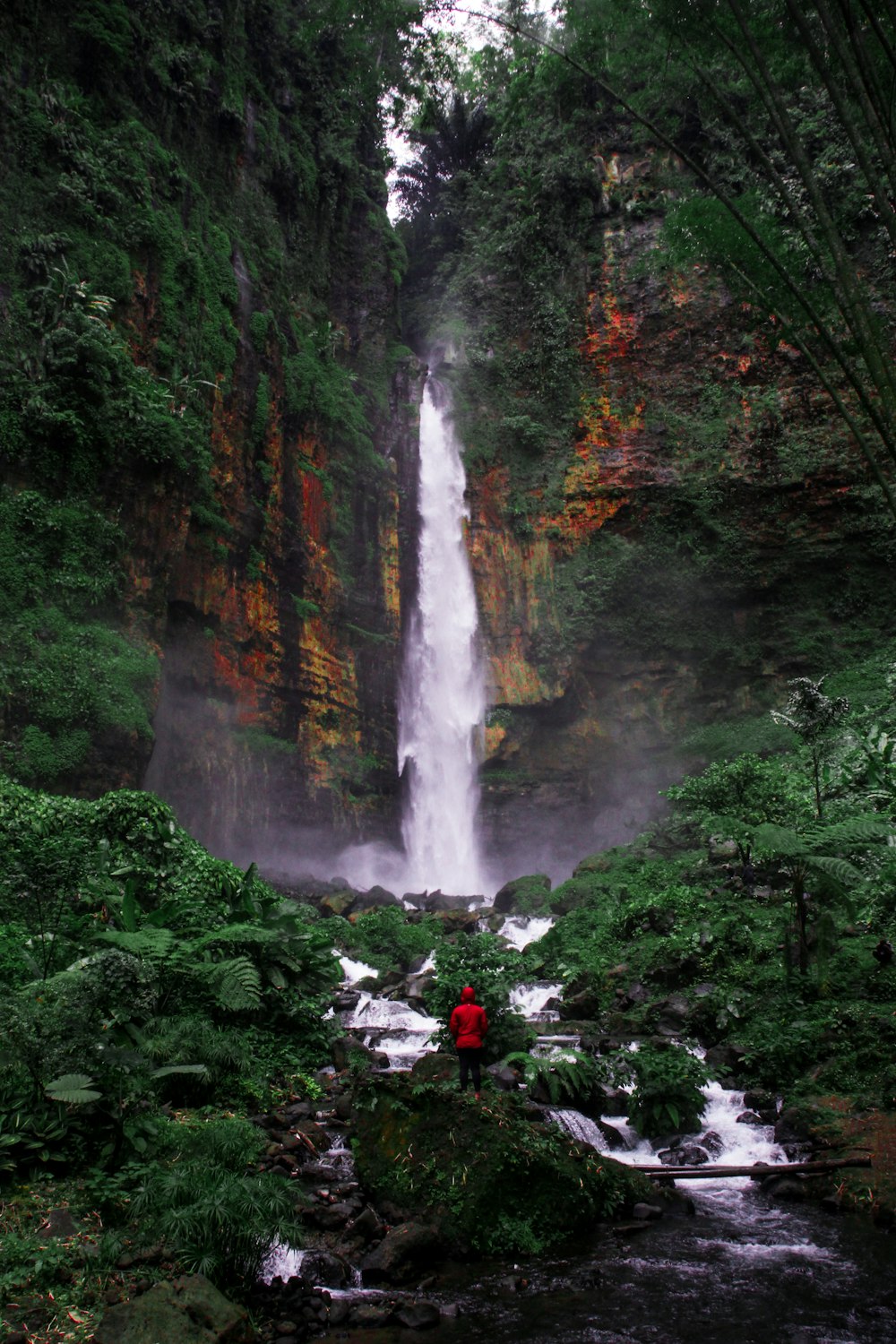 person standing in front of waterfalls