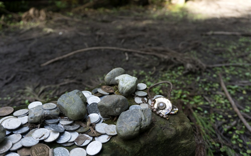 coins and pebbles