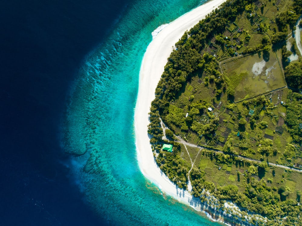 aerial photography of seashore