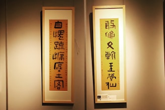 Two wall-mounted frames display vertical banners with Chinese calligraphy. The banners are placed against a neutral wall, with lighting focused on them to highlight the intricate details of the characters. Each frame consists of a wooden border and a paper backing with bold black calligraphy on a colored background.
