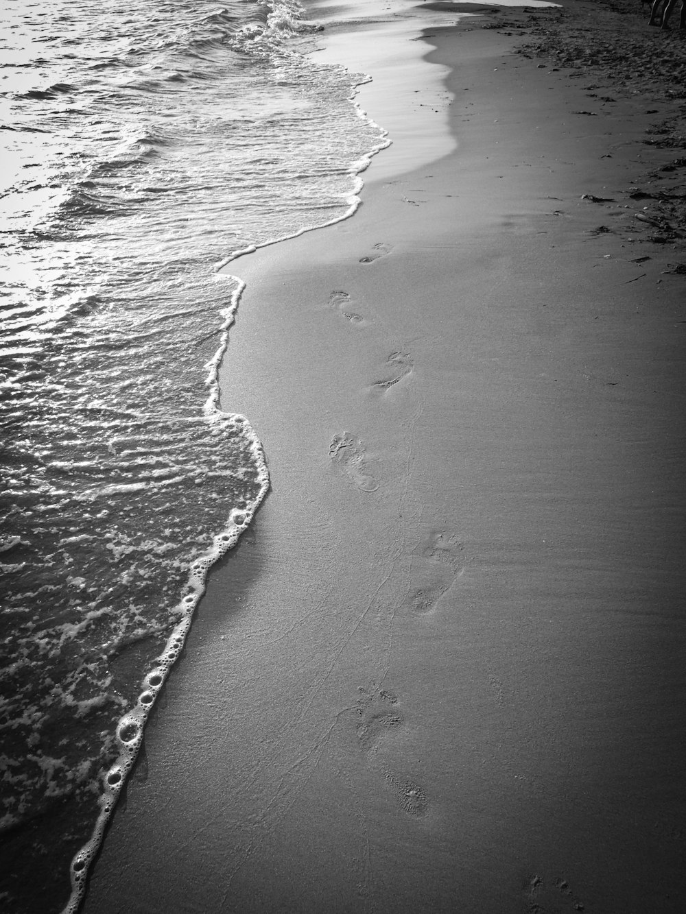 grayscale photo of seashore