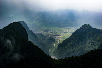 A serene Himalayan valley showcasing lush greenery and native medicinal plants like jatamansi.