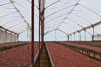 red petaled flowers in tunnel