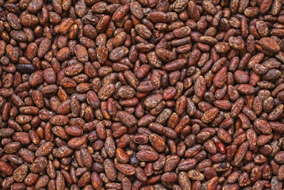 A close-up view of numerous brown cocoa beans densely packed together, displaying variations in shades and textures.