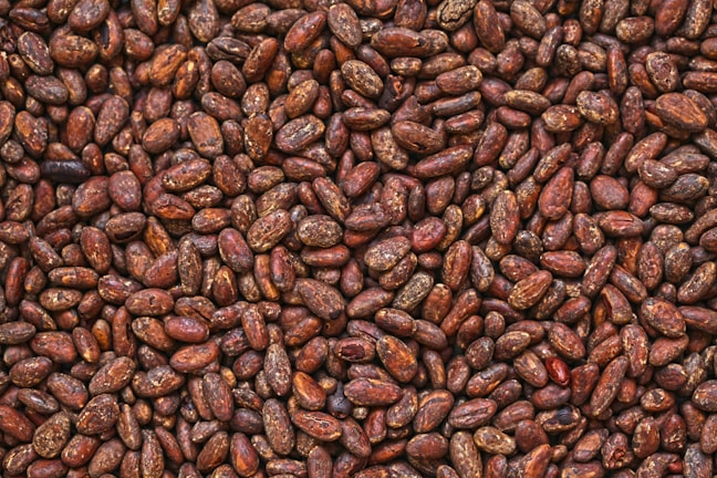 A vibrant display of organic cacao beans.