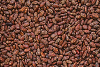 Close-up of rich, dark cacao beans spilling from a rustic burlap sack.