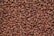 A close-up view of numerous brown cocoa beans densely packed together, displaying variations in shades and textures.
