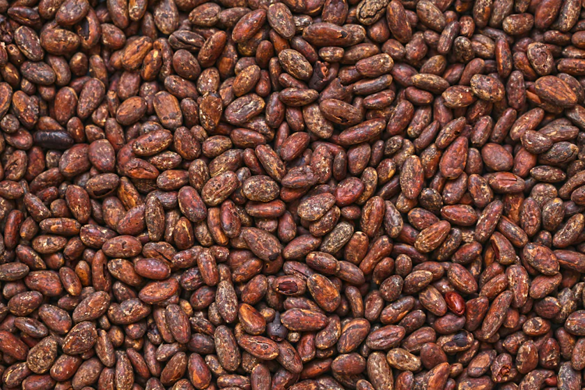 A dense bed of dried brown cocoa beans filling the frame, seen from directly above.
