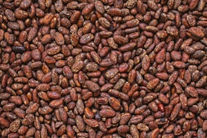 Cacao panameño