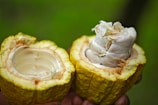 green shell fruit