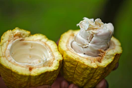 green shell fruit