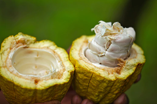 green shell fruit