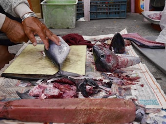 A person is preparing a fish on a cutting board, with chopped fish parts and blood scattered around. The scene appears to be in a market or fishery setting with crates and containers visible in the background.