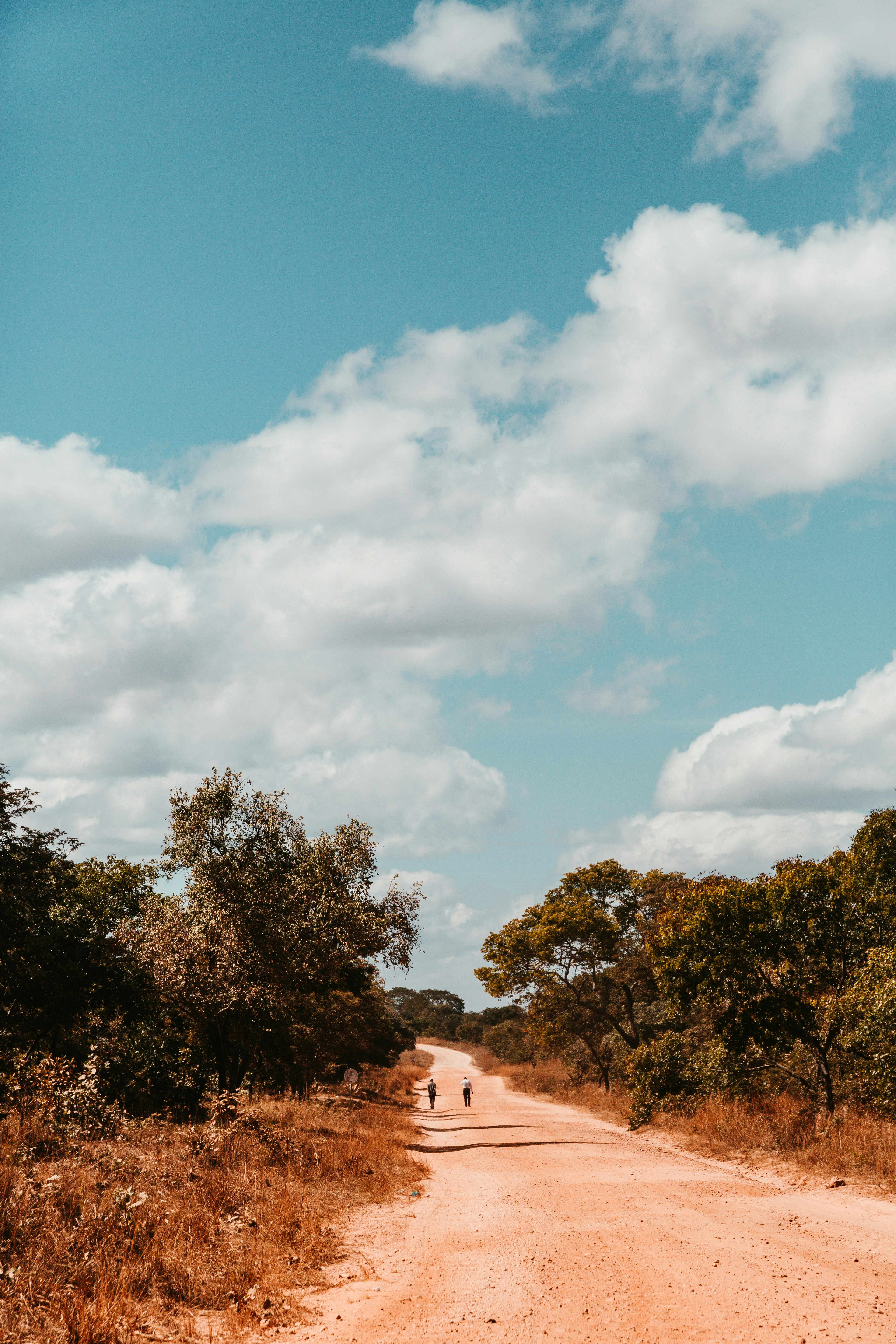 empty ]brown dirt road