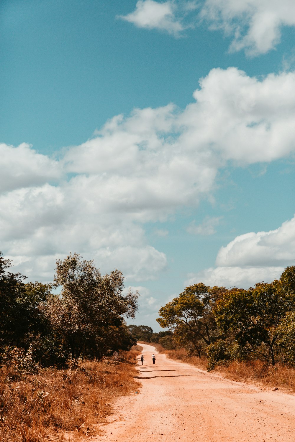 empty ]brown dirt road