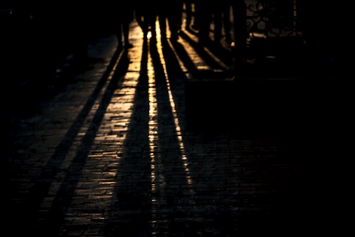 Golden hour light casting long shadows over a quiet cobblestone street.