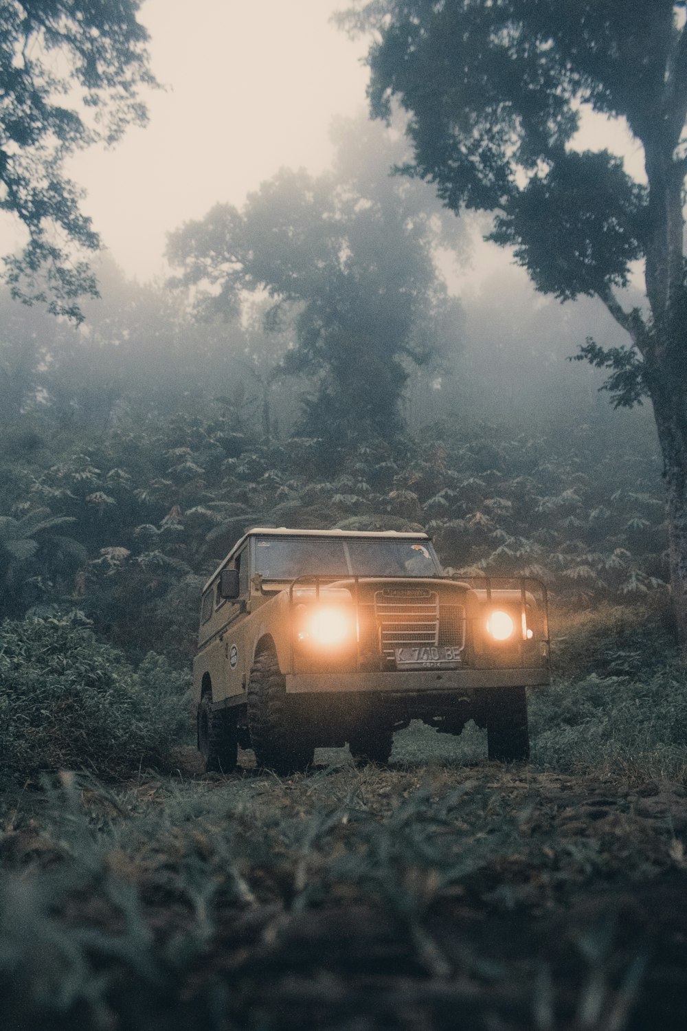 brown vehicle beside green-leafed tree during daytime