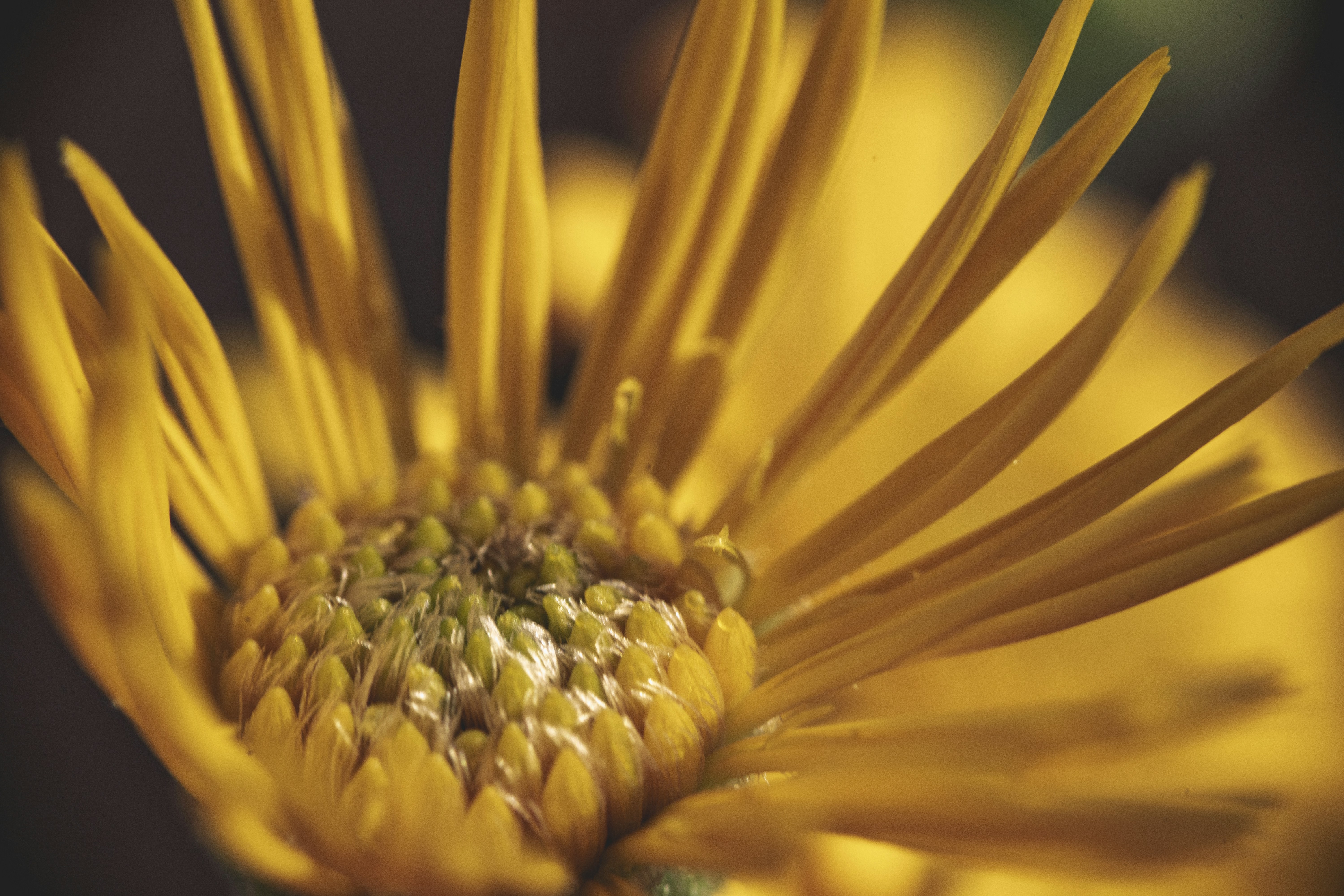 ultra hd nature, wallpaper, 4K Wallpapers: Enhance Your Visual Experience 6