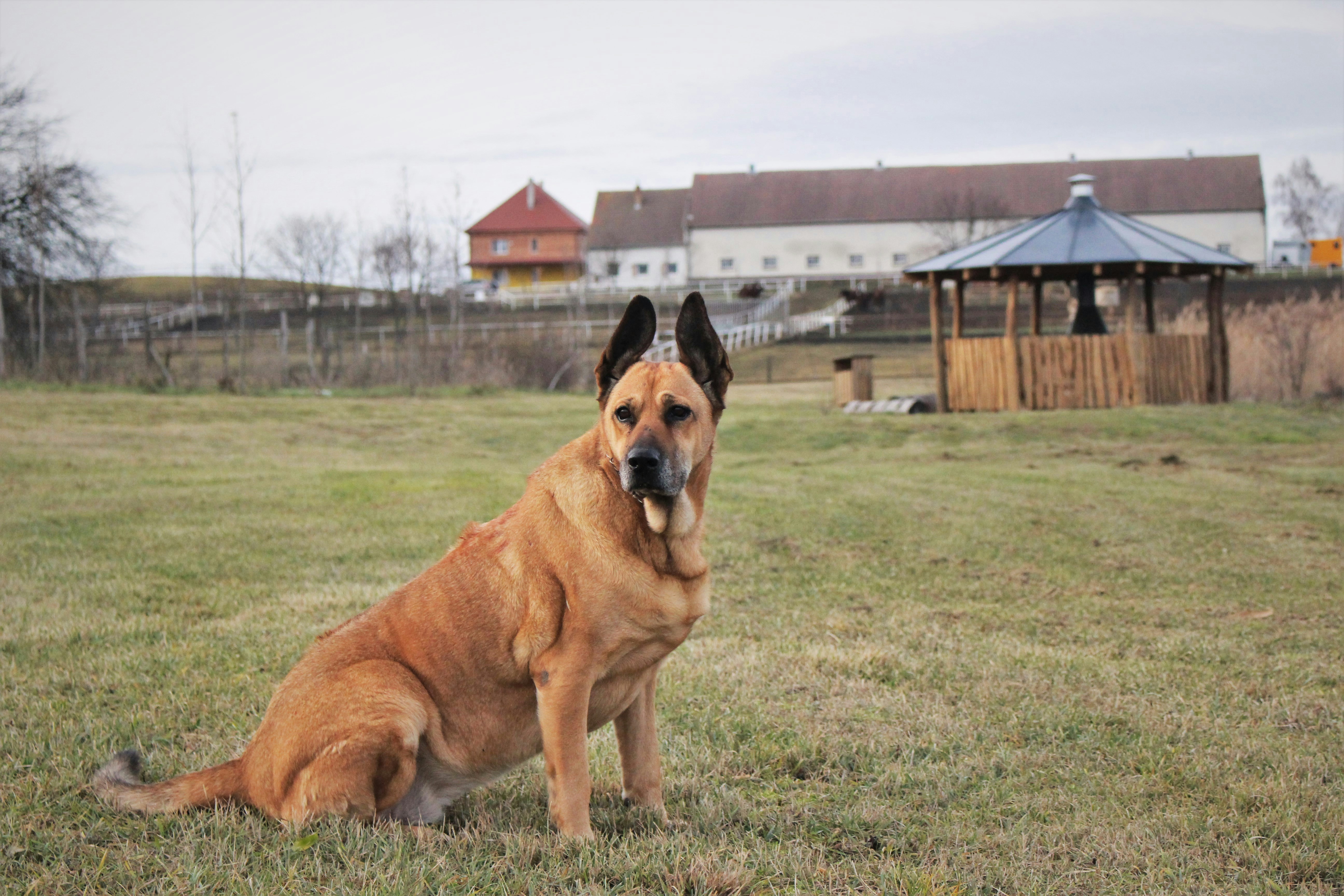 Photo by marjorylucabaxter