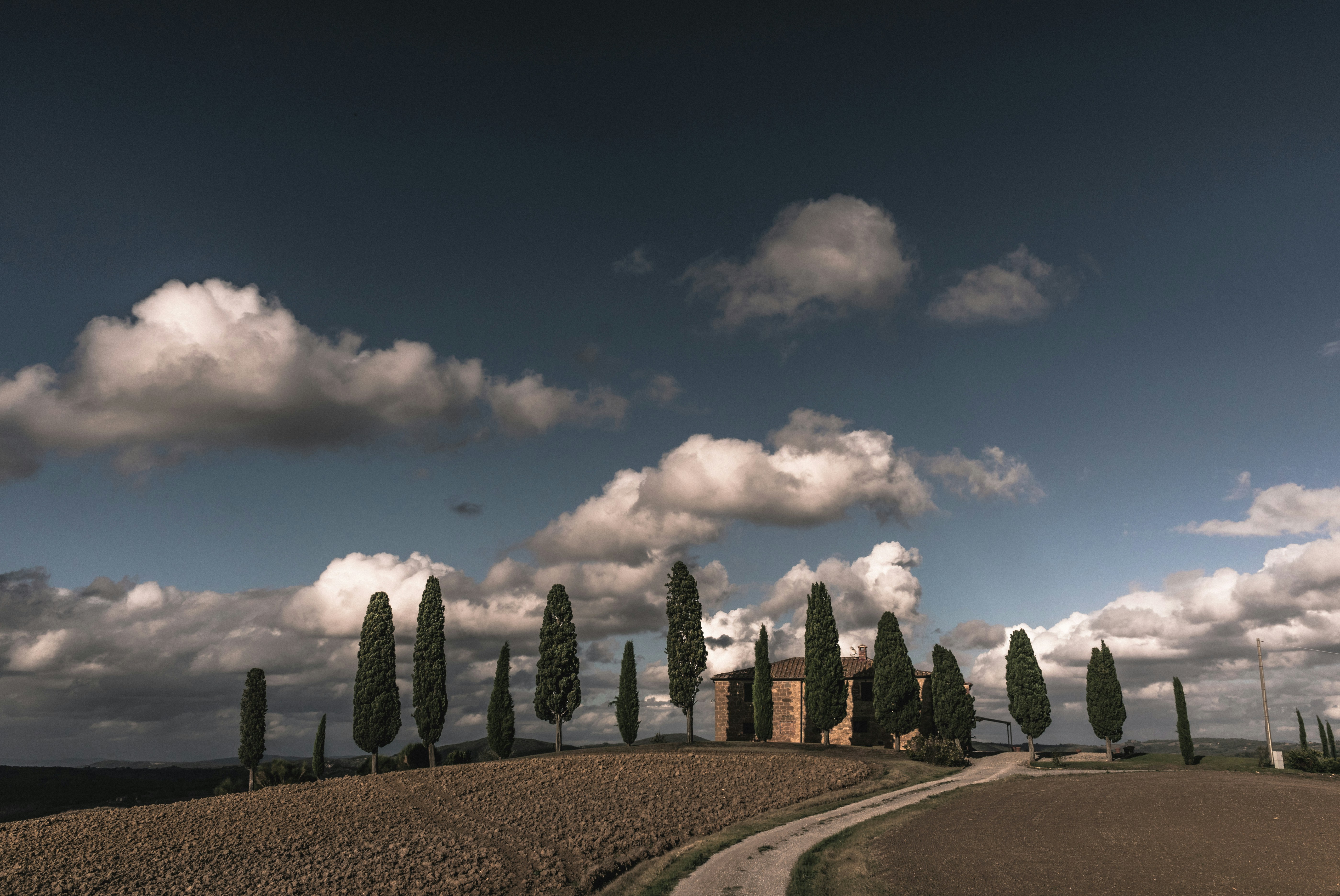 Image by Alin Rusu via Unsplash