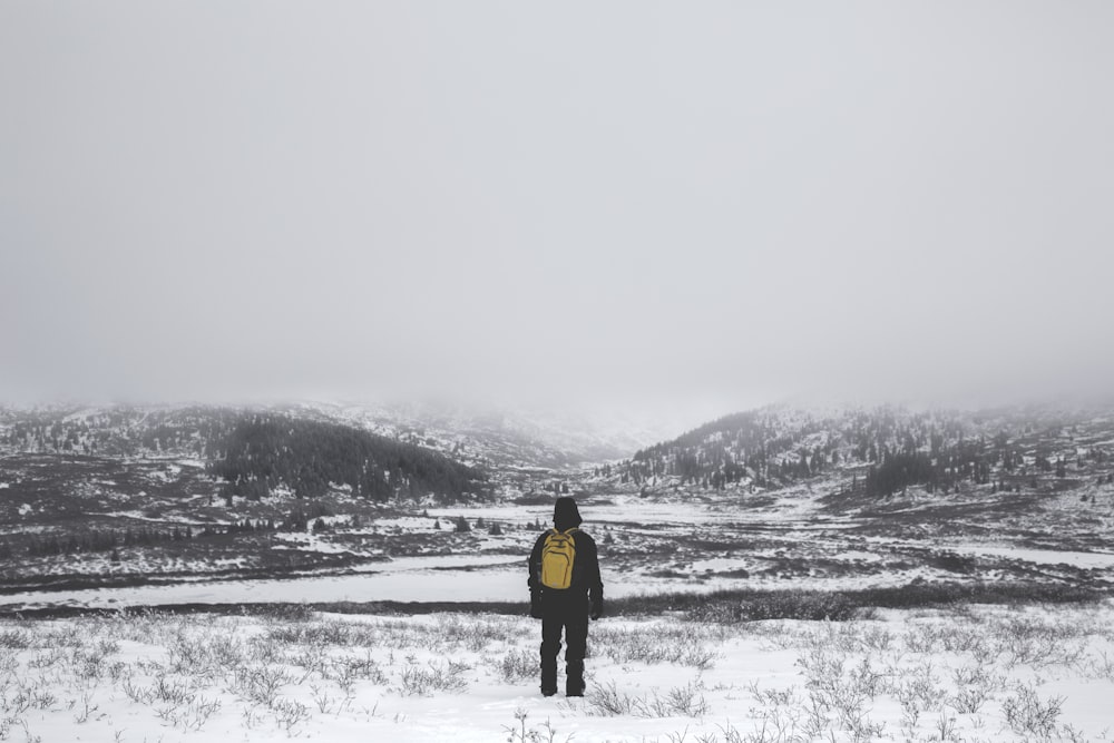 person standing on snow capped ground