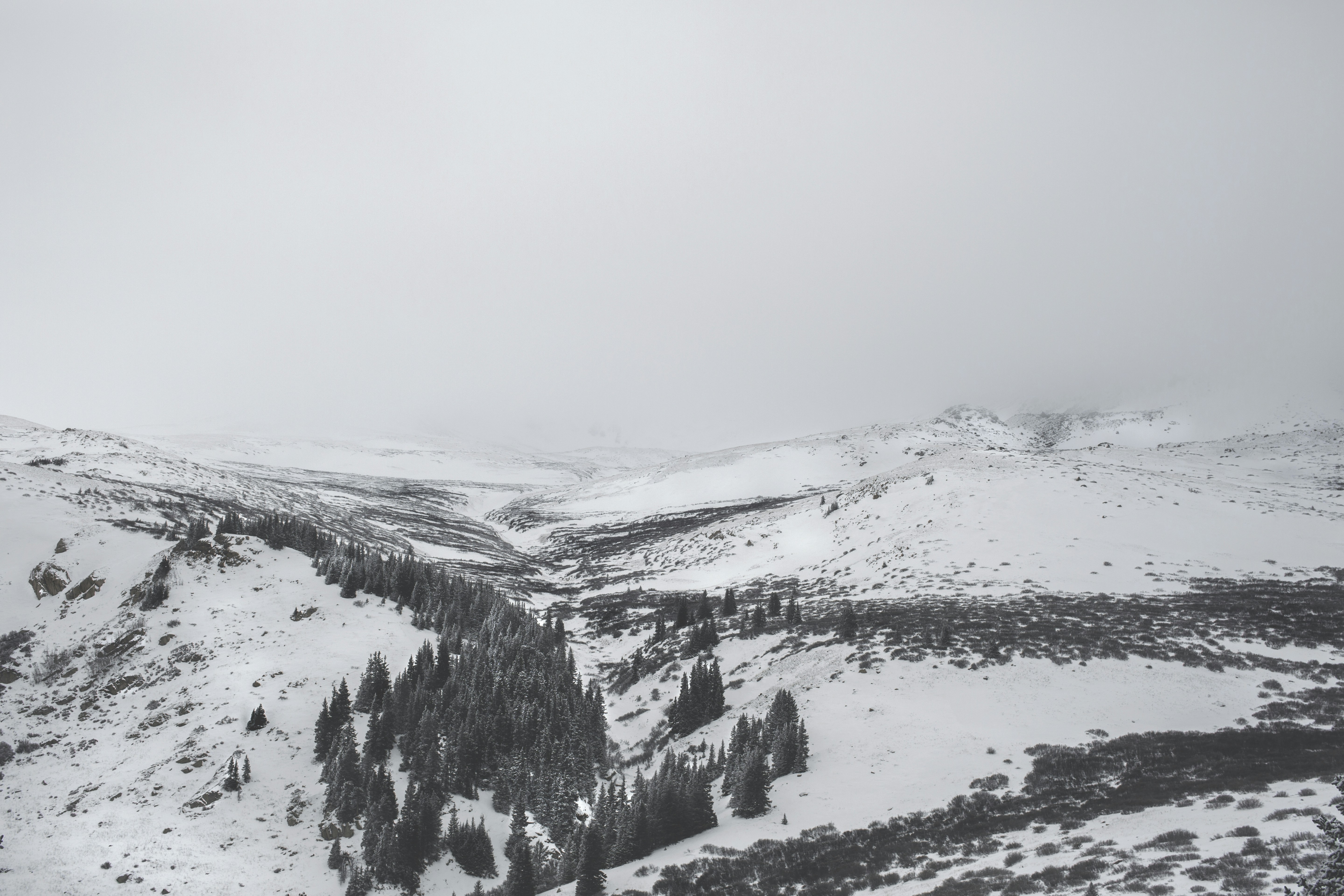 Photo by theoneofussocialclub