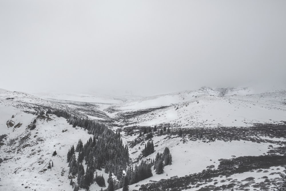 snow covered field during day