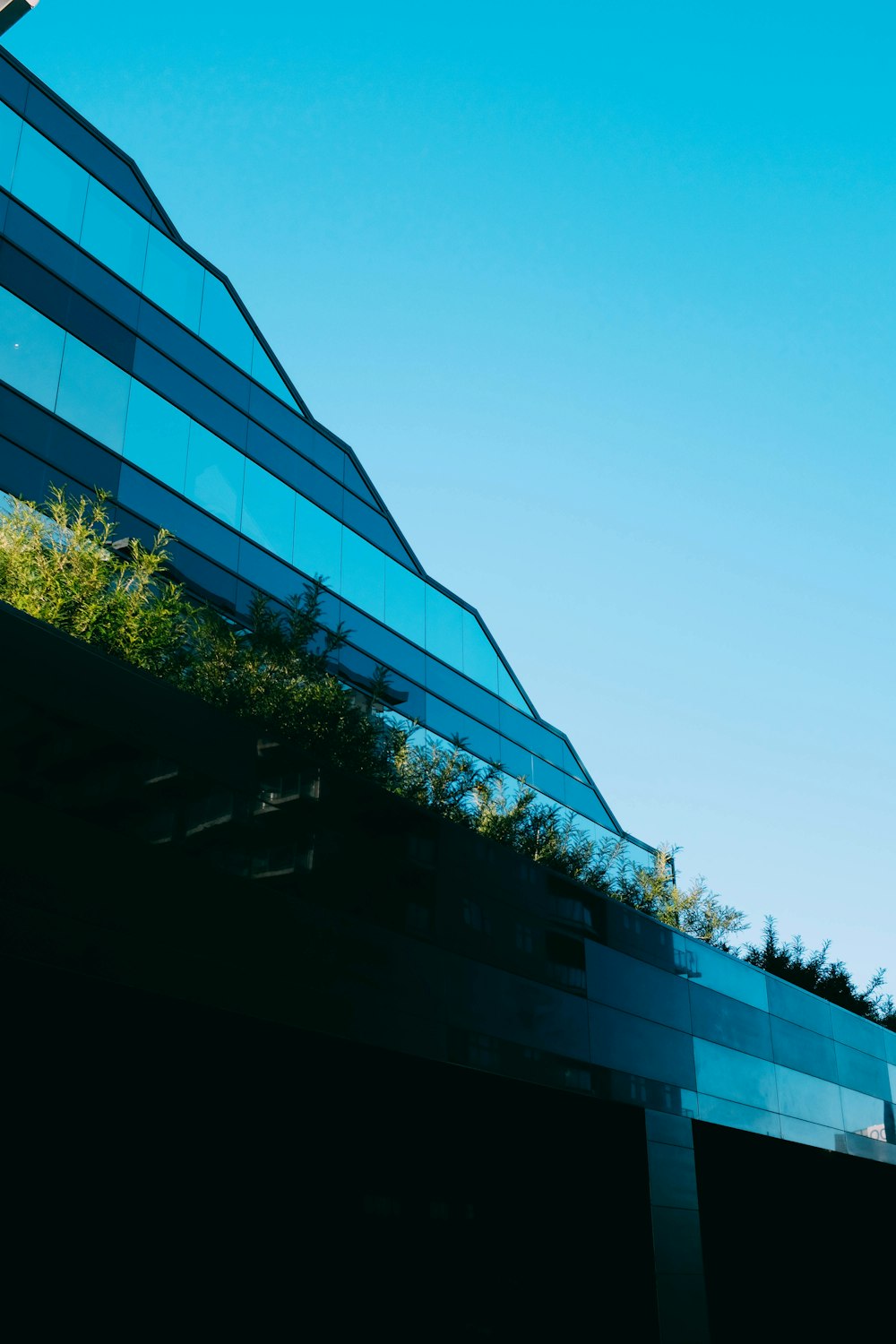 low angle photography of building