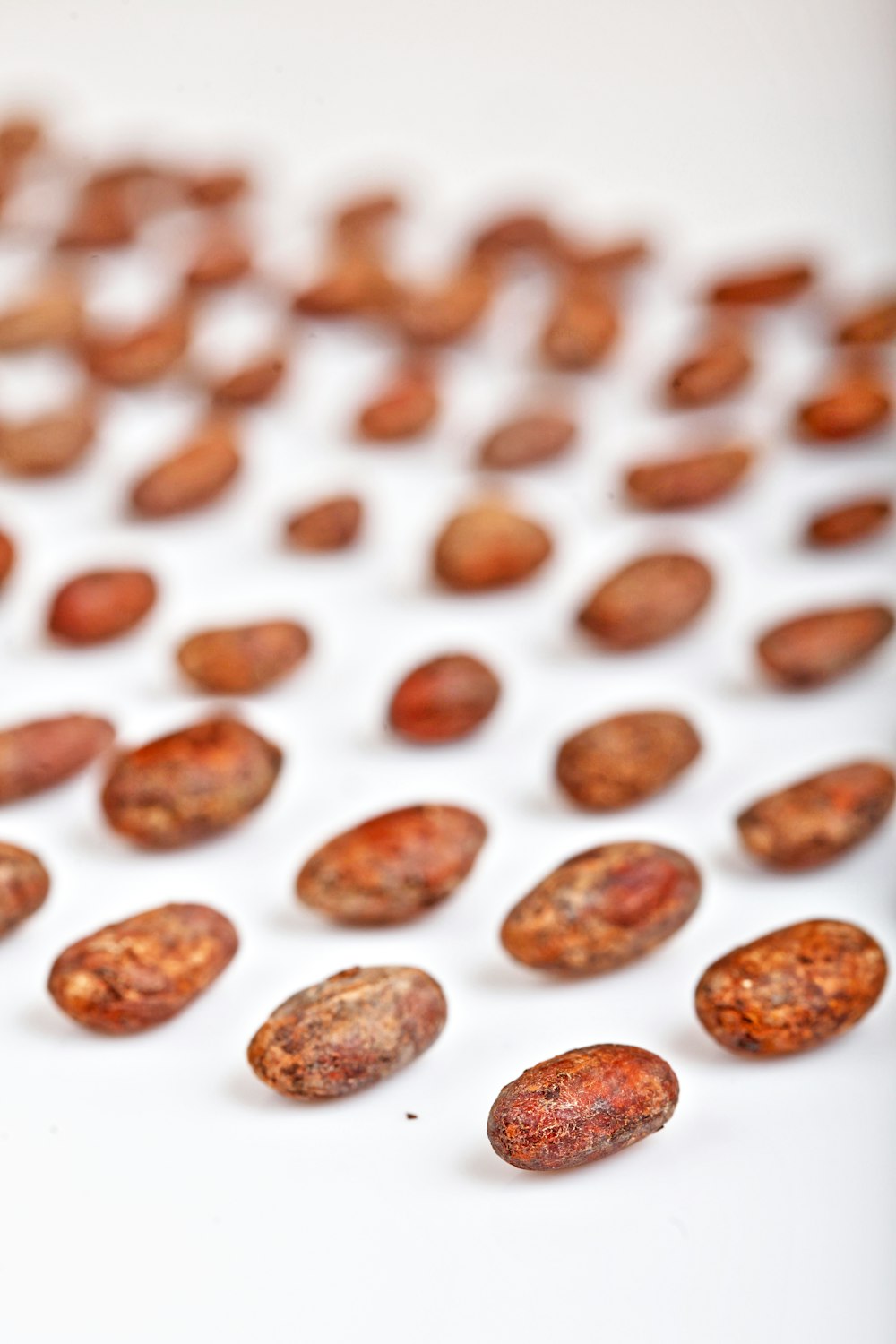 brown seeds on table