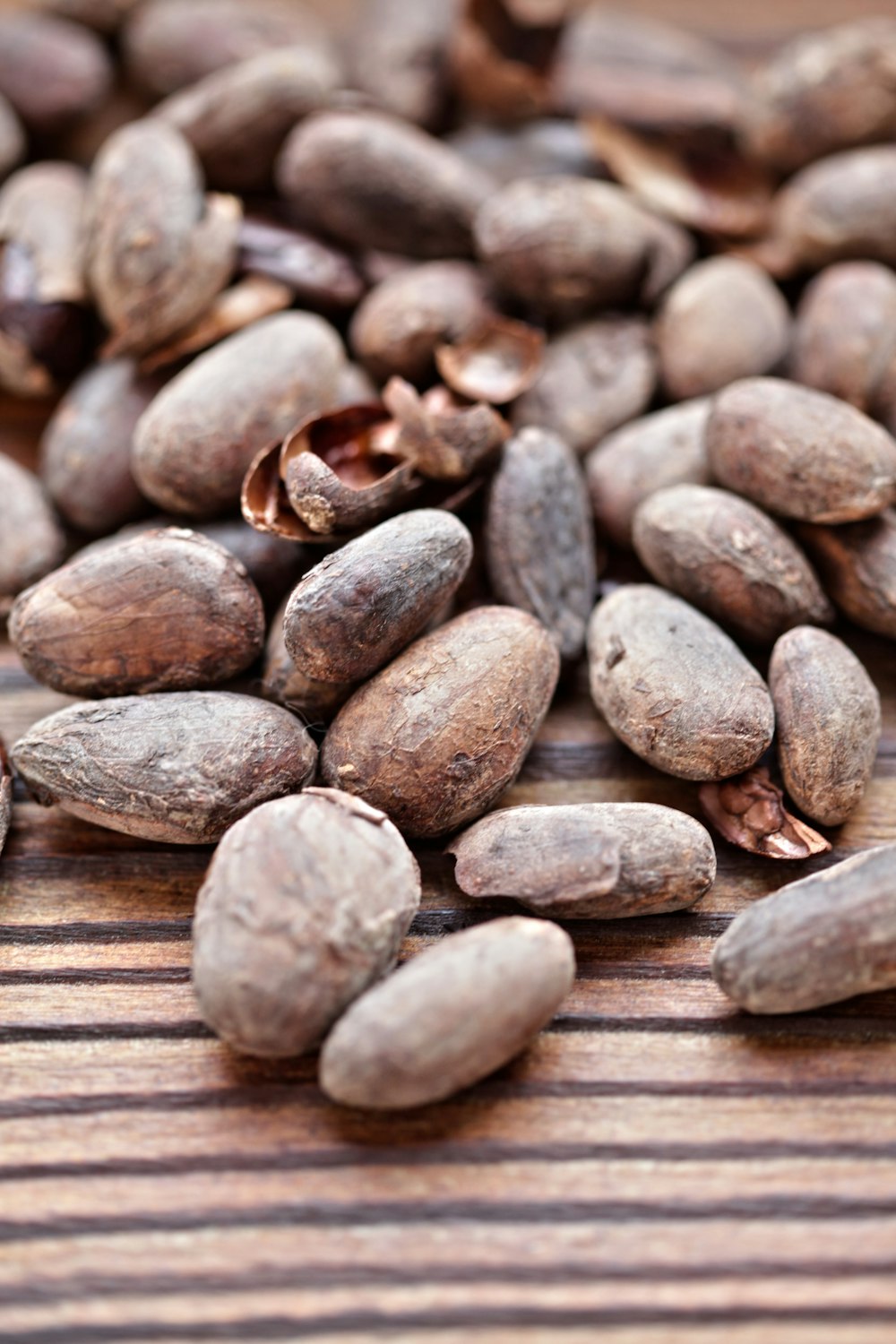 brown seed lot on brown surface