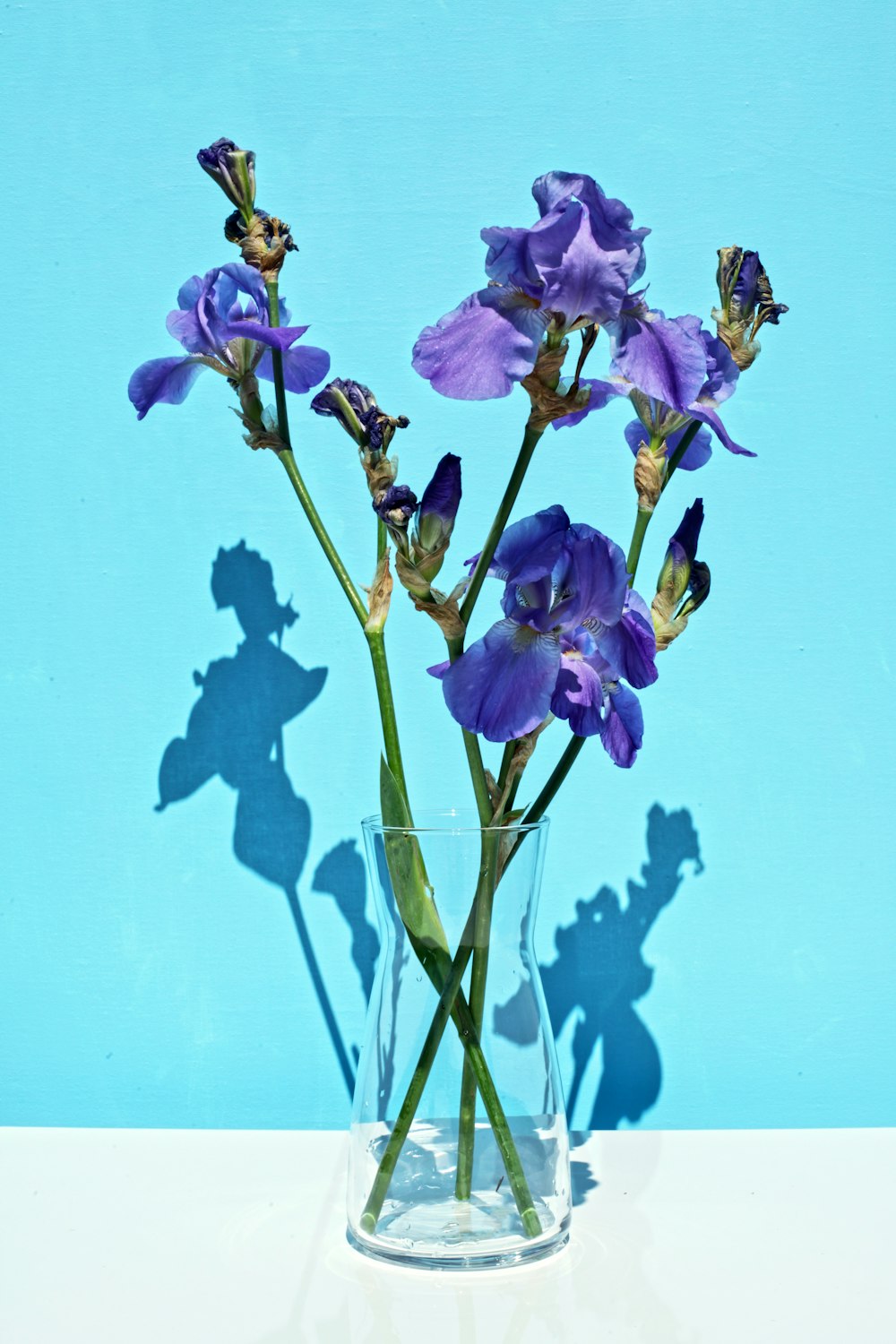 ガラスの花瓶に描かれた紫色の花びらの花