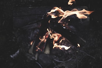 A tribal fire circle surrounded by rustic wooden benches, flickering flames casting dancing shadows on nearby forest foliage.