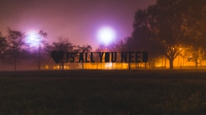 A foggy nighttime scene in a park with a backlit sign that reads, 'love is all you need.' The sign is positioned in front of various trees that are illuminated by purple and yellow streetlights, creating an ethereal glow.