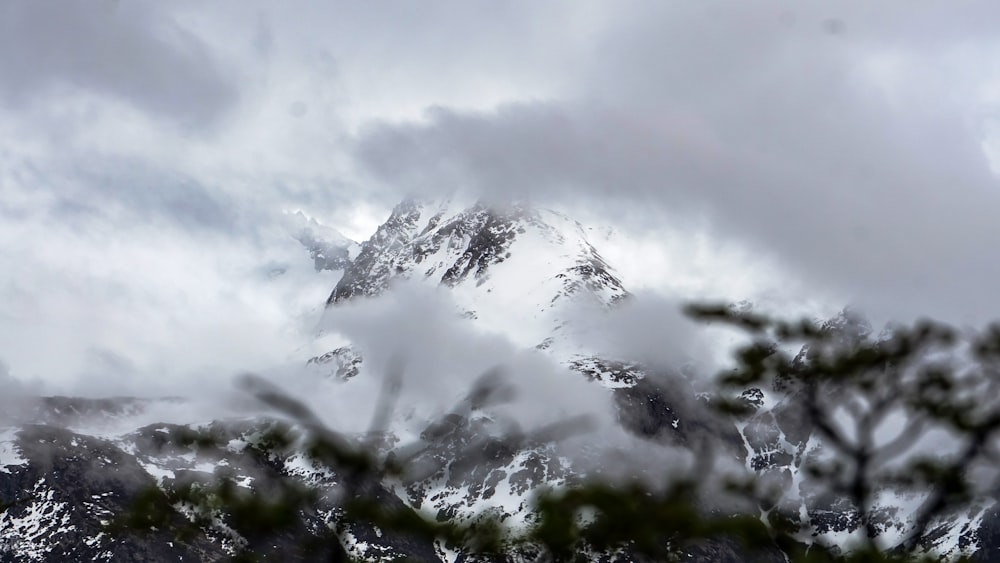 a snow covered mountain is seen through the branches of a tree