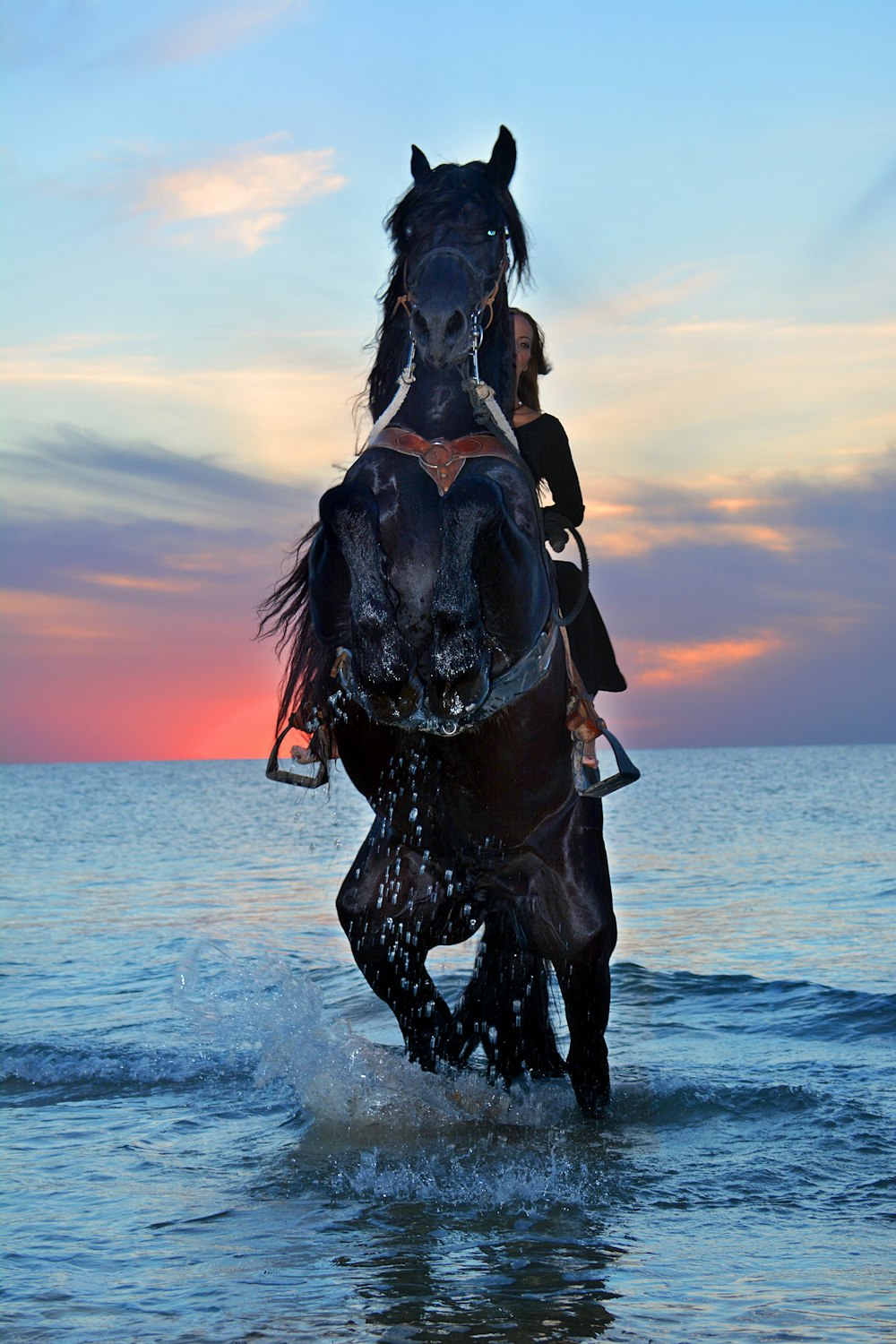 brown horse on body of water during daytime