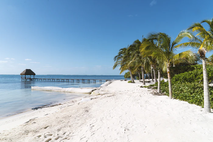 Best Places to Work From in Cancun: A Remote Worker's Guide