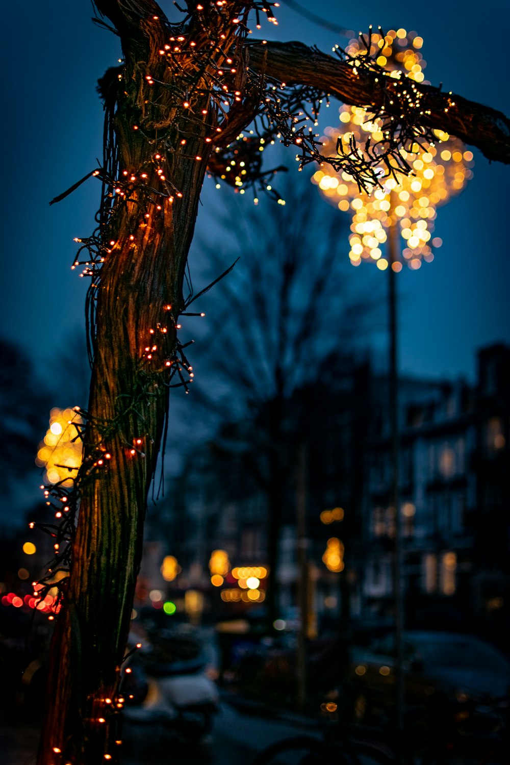 turned-on string lights in tree